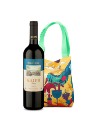 Kit Especial - Kaipu e Bag Estampada