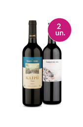 Kit 2 - Tannat na Taça - Oferta Absurda
