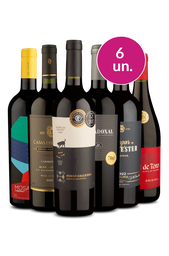 Kit 6 - Encontro Premium - Oferta Muito Absurda