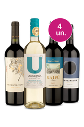 Kit 4 - Rótulos Brilhantes por R$149 – Oferta Insana