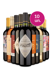 Kit 10 - Seleção Especial por R$21,90 por Garrafa - Spoiler Black Wine