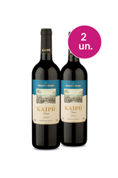 Wine Pendura - Kaipu por R$29,93/un