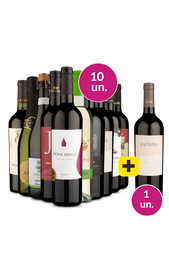 Kit 10 - Rótulos Imperdíveis + Flying Malbec Grátis - Oferta Absurda
