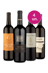 Kit 4 - Tintos Mundiais por R$100 - Oferta Absurda