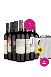 Kit 7 - Vinhos Tintos Incríveis + Bolsa Porta Vinhos Grátis - Oferta Absurda