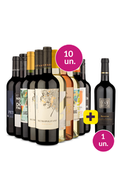 Kit 10 - Grandes Nomes + V9 Reserva Grátis - Oferta Absurda