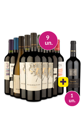 Kit 9 - América do Sul + V9 Grátis