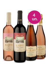 Kit 4 - Destaques Brasileiros - Oferta Absurda