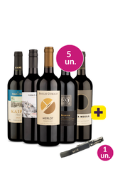 Kit 5 - Destaques Tintos + Saca Rolhas Grátis