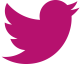 Siga-nos no Twitter
