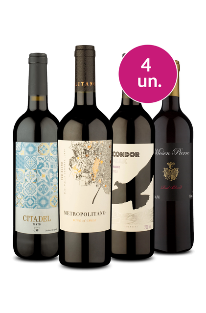 Imagem do produto Kit 4 - Tintos por R$99 - Oferta Absurda