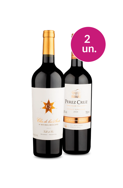 Imagem do produto Kit 2 - Wine Pendura - Clos e Pérez Cruz Single Vineyard