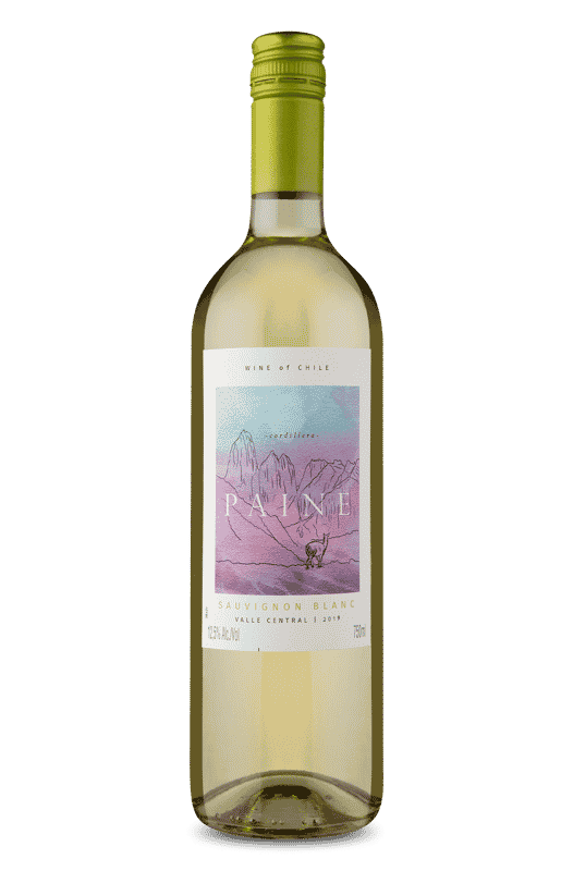 Paine Sauvignon Blanc 2019 Paine Sauvignon Blanc 2019
