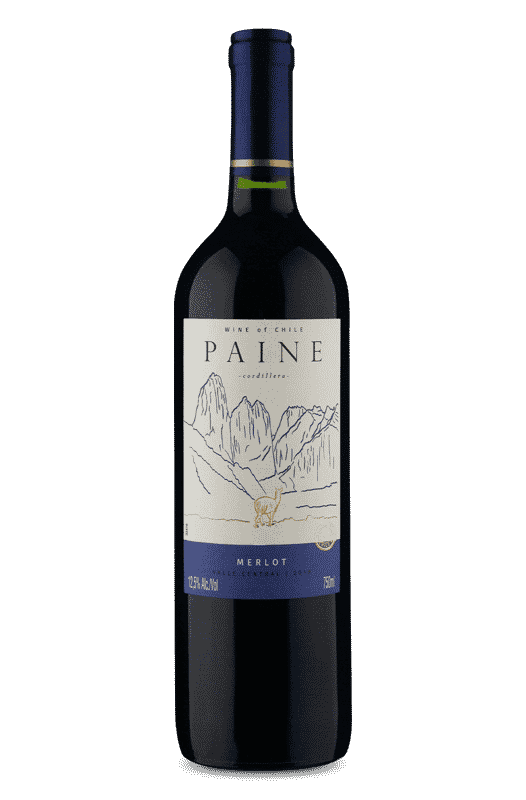Paine Merlot 2019 Paine Merlot 2019