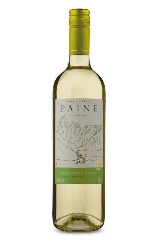 Paine Sauvignon Blanc 2021 Paine Sauvignon Blanc 2021
