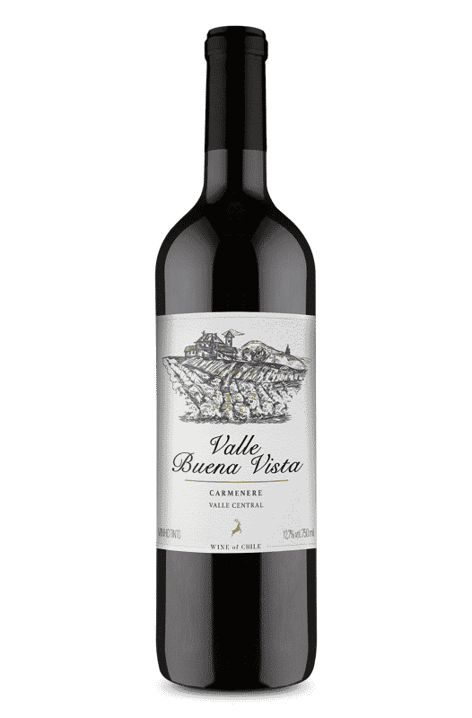 Valle Buena Vista Carménère 2021 Valle Buena Vista Carménère 2021