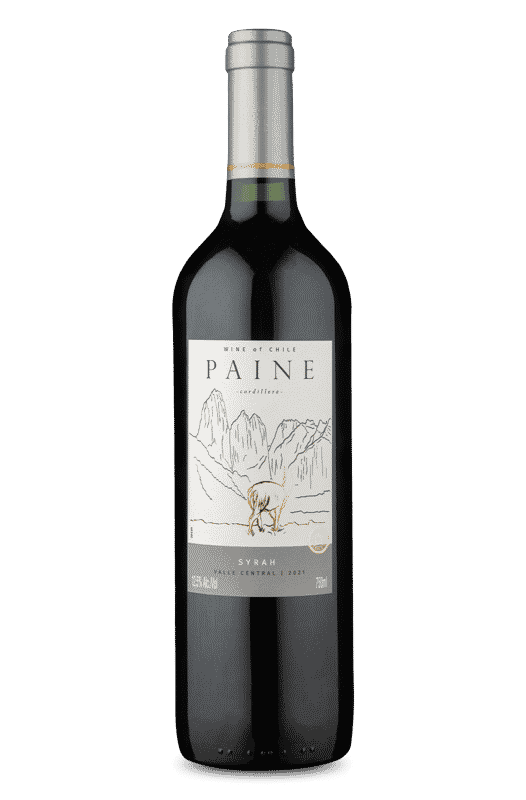 Paine Syrah 2021 Paine Syrah 2021