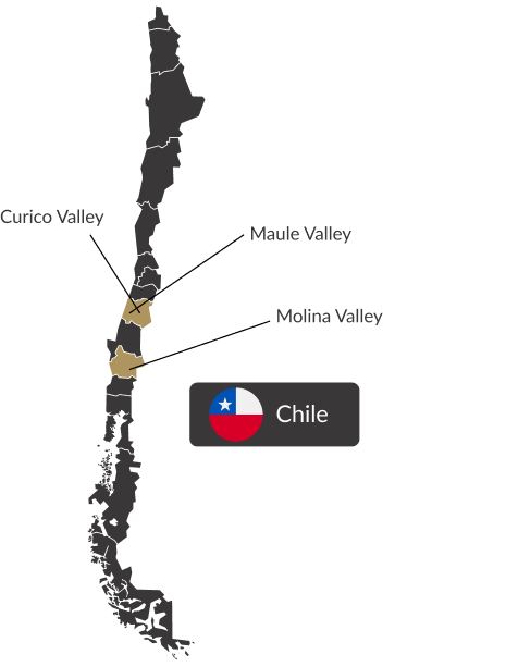 Mapa do Chile que indica as regiões do Curico Valley, Maule Valley, Molina Valley